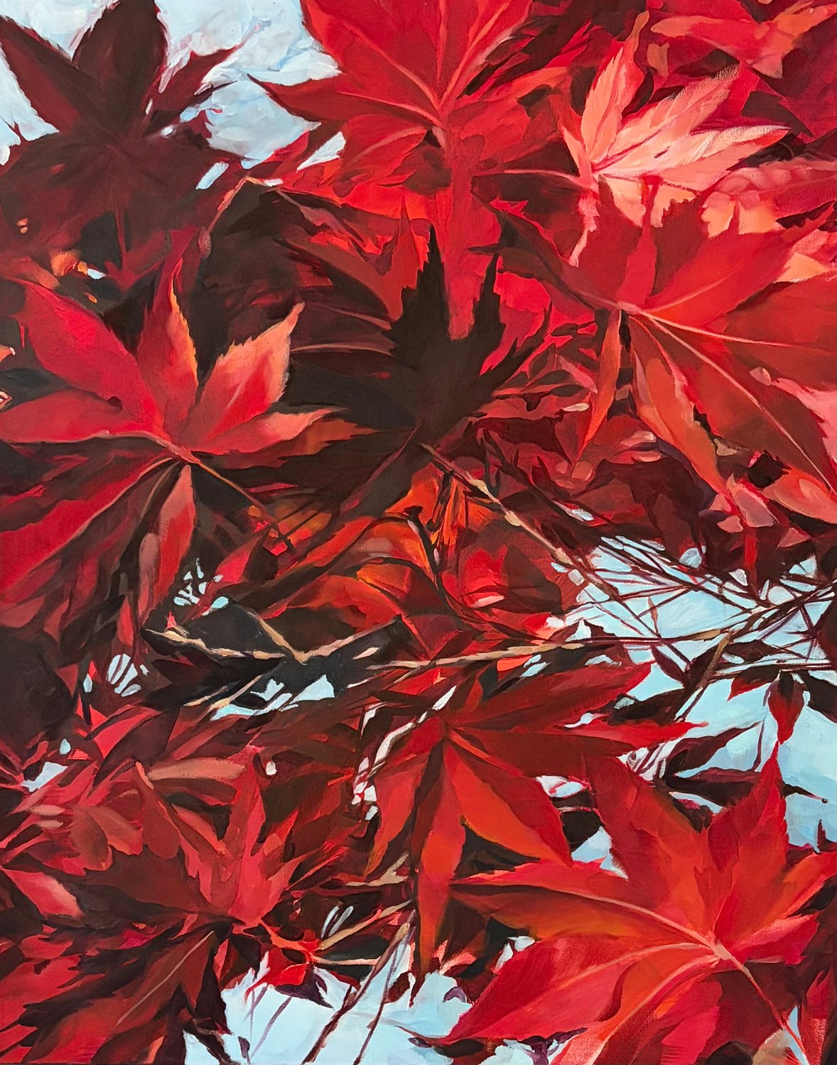 Red Maple — oil painting by Jane Lucchino